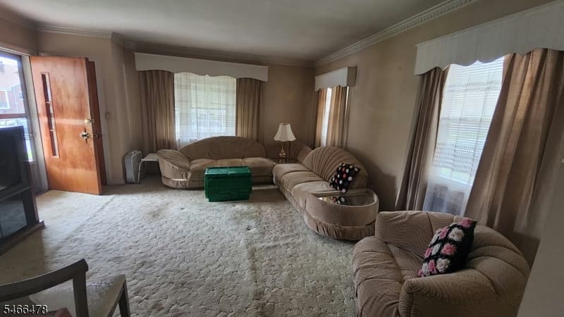 509 Thompson Ave, Roselle Boro photo 8