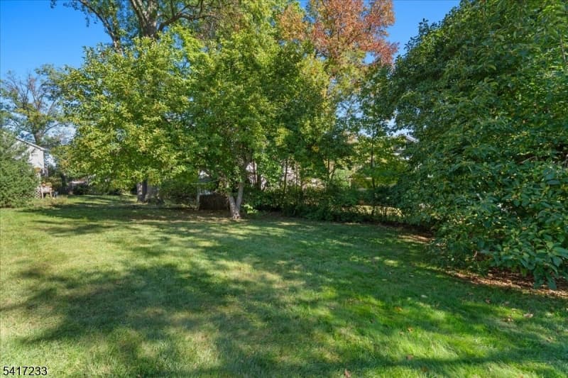 759 Warren Street, Westfield Town photo 33