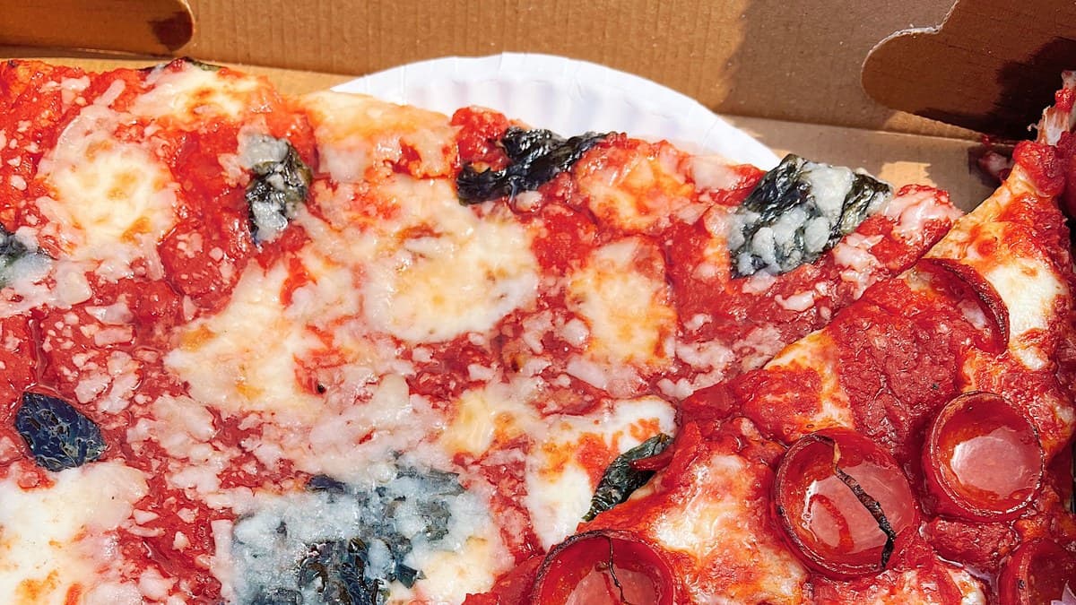 Fanwood 5K Pizza Run Draws More Than 1,000; Scotch Plains Runner Wins