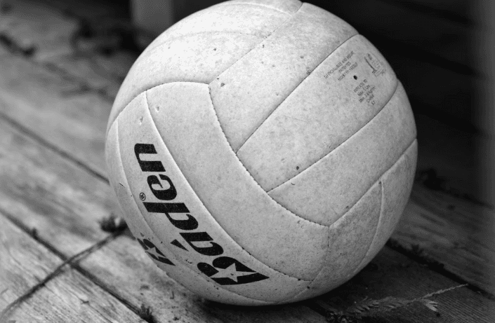 Girls Volleyball: Dayton Sweeps Linden in Straight Sets