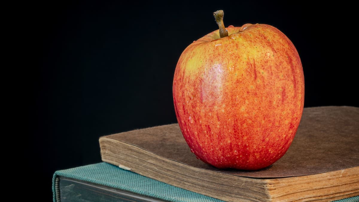 Berkeley Heights Seeks Educator of the Year Nominations by Oct. 23