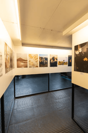 Union County Commissioners Gallery in Elizabeth Showcases Artwork by ACE Students