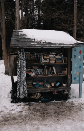 Sophia's Book Stand: Local Girl Continues to Share Love of Reading
