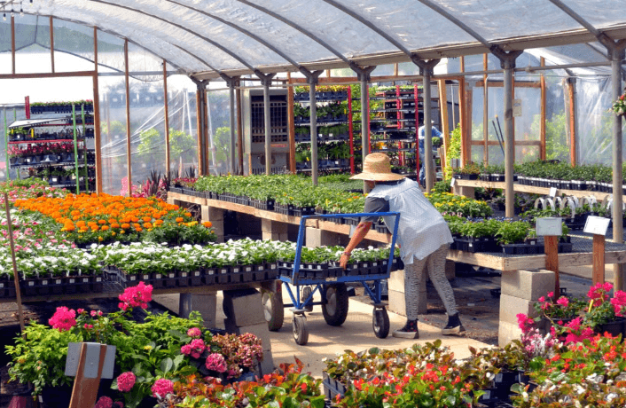Cranford's Green Thumb Garden Club Celebrates 75 Years of Service