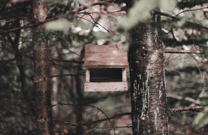 Mountainside Scout Builds Three Bat Boxes Near Echo Lake