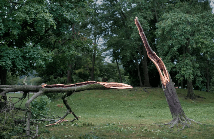 Clark Township Urges Residents to Submit Storm Damage Reports by July 8