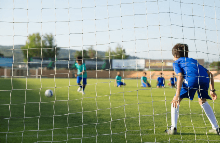 Roselle Boys Soccer: Panthers Lose in Overtime to Woodbridge