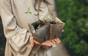 Westfield's Caroline Sahm, 16, Talks Seeds of Change