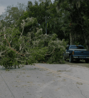 Storm-Related Branch Pickup Begins Wednesday