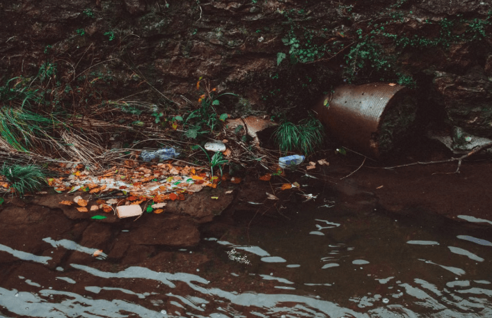 Television and Rugs Among 1,200 Pounds of Trash Pulled From Union County Waterways