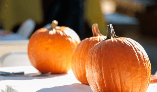 Franklin Elementary Hosts First Annual Fall Festival in Rahway