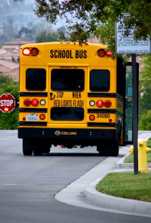 Berkeley Heights Council Adopts Mountain Avenue School Zones