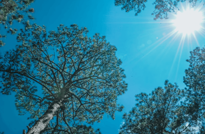 Heat Advisory Issued for Summit Through Wednesday as Temperatures Soar