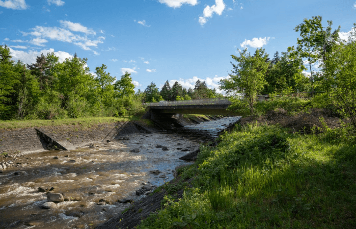 Westfield Town Council Awards Contract for Stormwater Infrastructure Mapping and Watershed Assessment