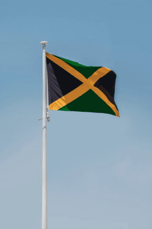 Roselle Raises Jamaican Flag at Borough Hall